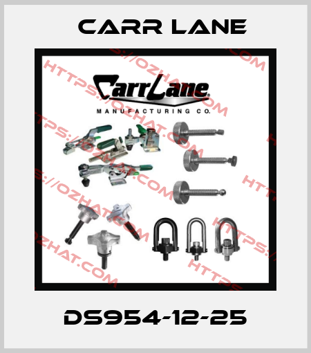 DS954-12-25 Carr Lane
