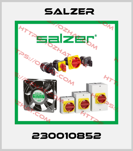 230010852 Salzer