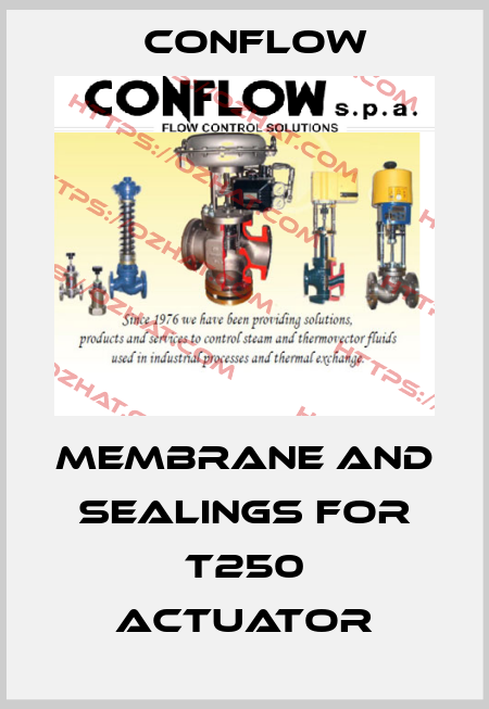 MEMBRANE AND SEALINGS FOR T250 ACTUATOR CONFLOW