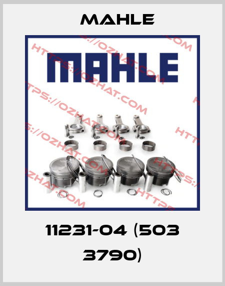 11231-04 (503 3790) MAHLE