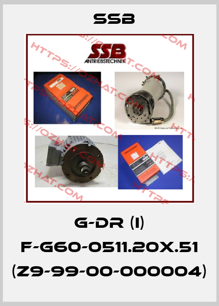G-DR (I) F-G60-0511.20X.51 (Z9-99-00-000004) SSB