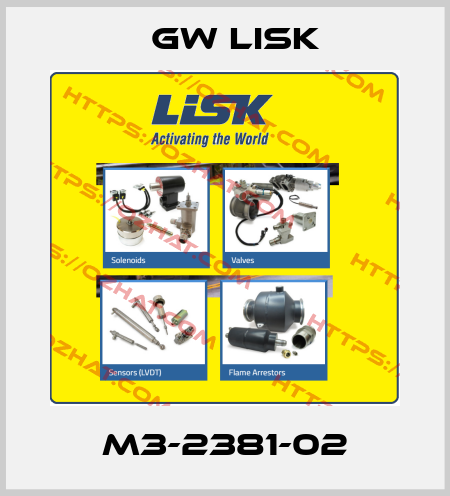 M3-2381-02 Gw Lisk