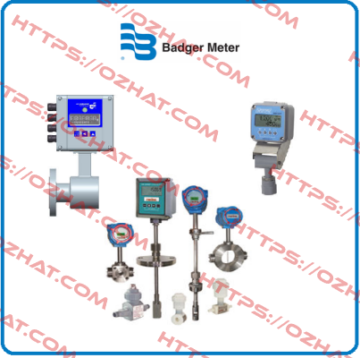 1001-GC-N-36-SV-CB-HEP-36 Badger Meter