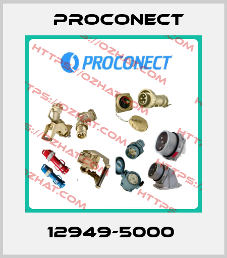 12949-5000  Proconect