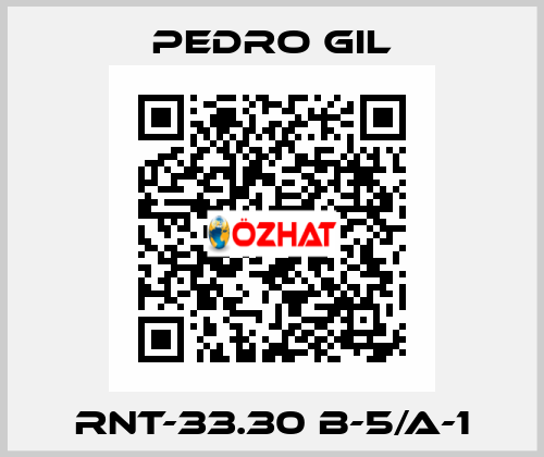 RNT-33.30 B-5/A-1 PEDRO GIL