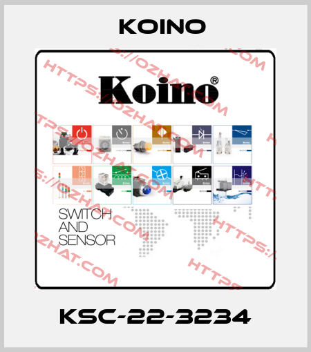 KSC-22-3234 Koino