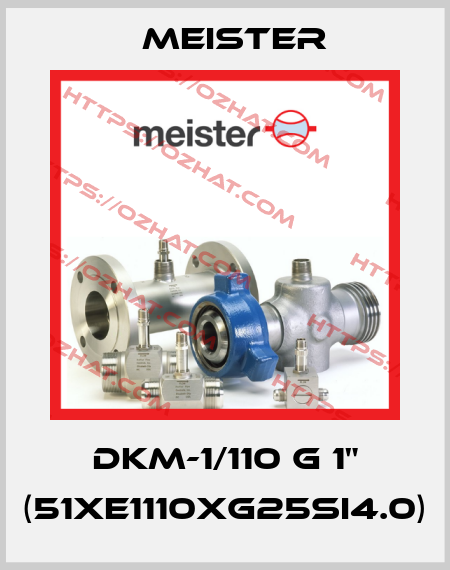 DKM-1/110 G 1" (51XE1110XG25SI4.0) Meister