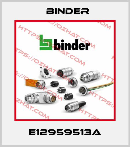 E12959513A Binder