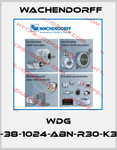 WDG 100H-38-1024-ABN-R30-K3-050 Wachendorff