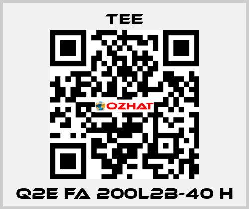 Q2E FA 200L2B-40 H TEE