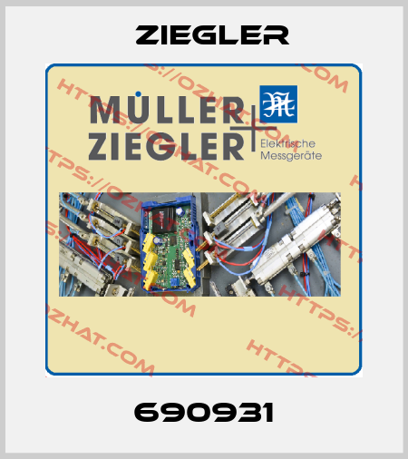 690931 Ziegler