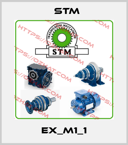 EX_M1_1 Stm