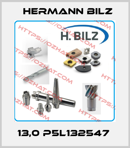 13,0 P5L132547  Hermann Bilz