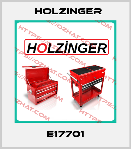 E17701 holzinger