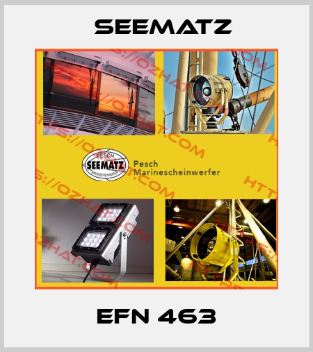 EFN 463 Seematz