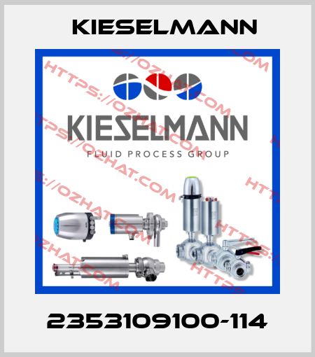 2353109100-114 Kieselmann