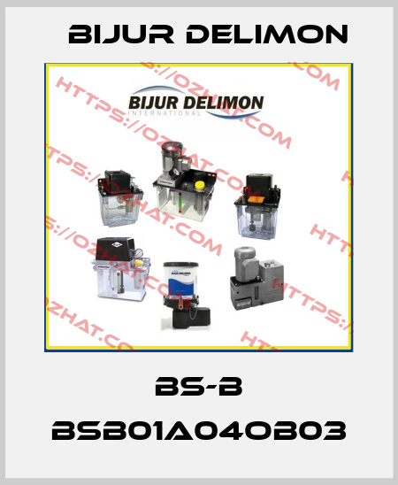 BS-B BSB01A04OB03 Bijur Delimon