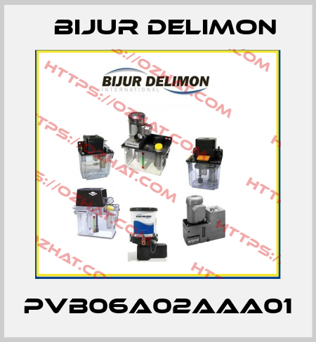 PVB06A02AAA01 Bijur Delimon