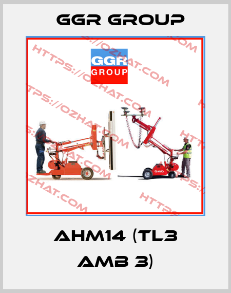 AHM14 (TL3 AMB 3) GGR GROUP