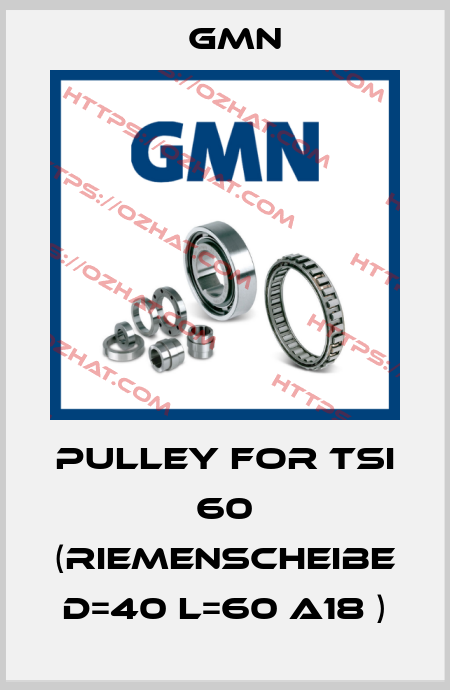 pulley for TSI 60 (Riemenscheibe D=40 L=60 A18 ) Gmn
