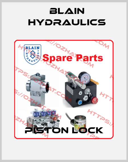 piston lock Blain Hydraulics