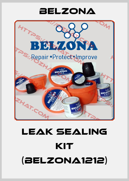 Leak Sealing Kit (Belzona1212) Belzona