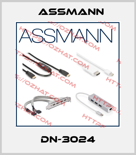 DN-3024 Assmann