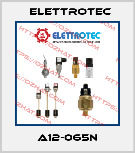 A12-065N Elettrotec