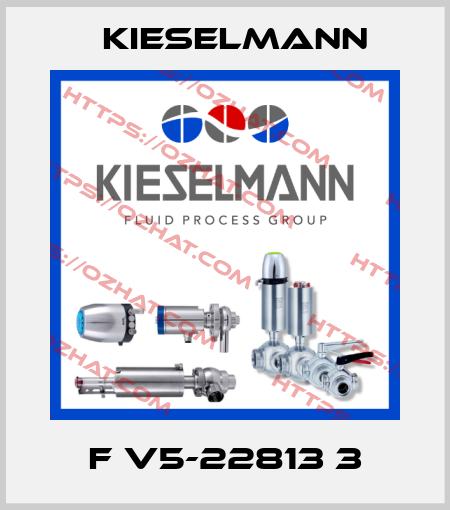 F V5-22813 3 Kieselmann