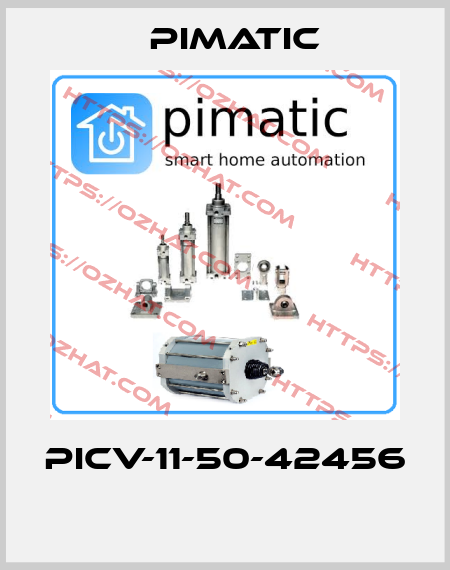 PICV-11-50-42456  Pimatic