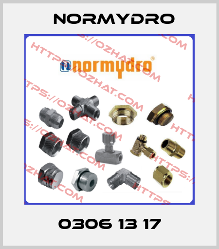0306 13 17 Normydro