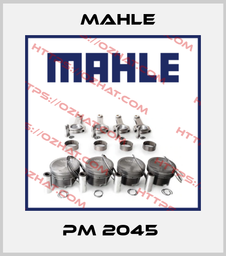 PM 2045  MAHLE