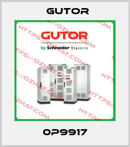 0P9917 Gutor
