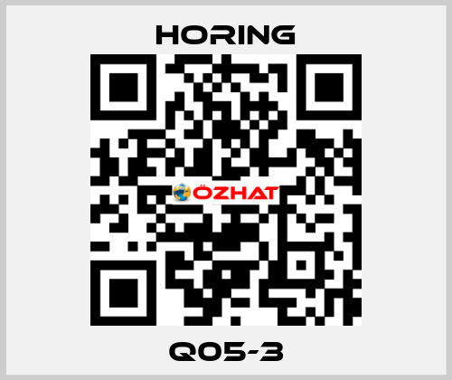 Q05-3 HORING
