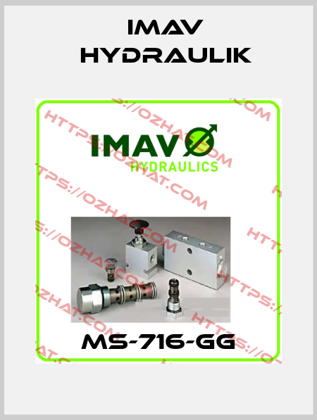 MS-716-GG IMAV Hydraulik