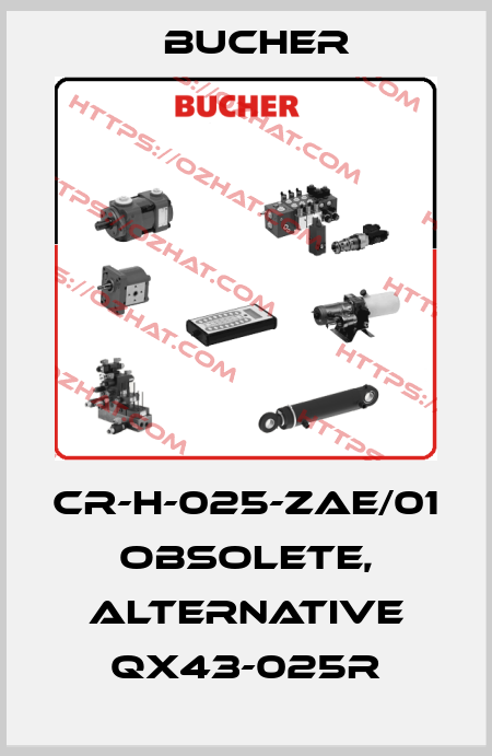CR-H-025-ZAE/01 obsolete, alternative QX43-025R Bucher