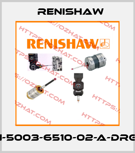 N-5003-6510-02-A-DRG1 Renishaw