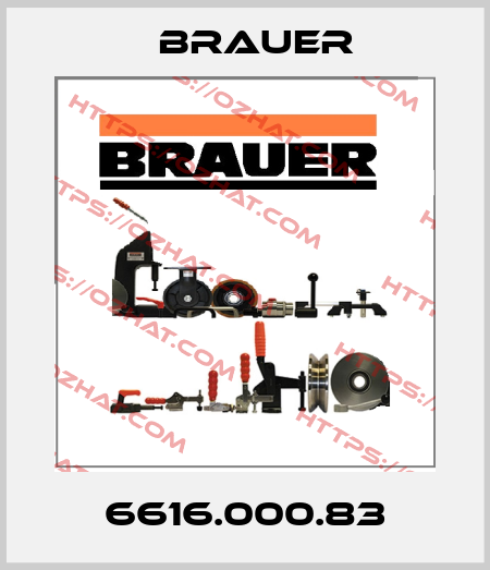6616.000.83 Brauer