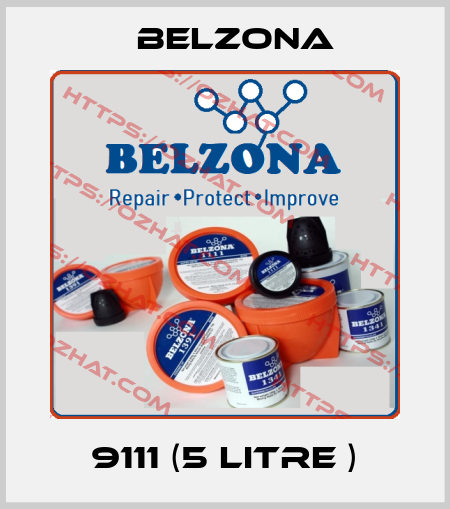 9111 (5 litre ) Belzona