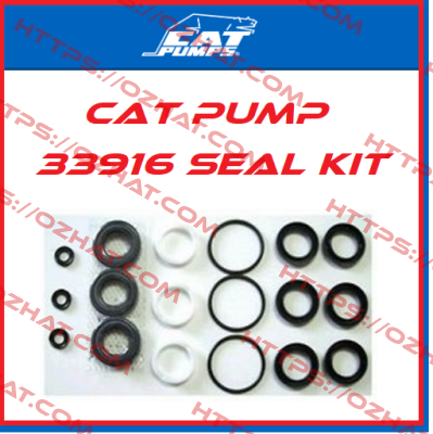33916 Cat Pumps