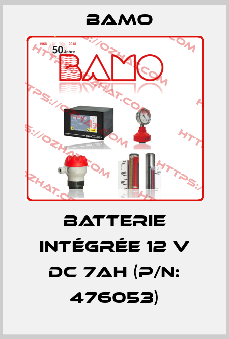 Batterie intégrée 12 V DC 7Ah (P/N: 476053) Bamo