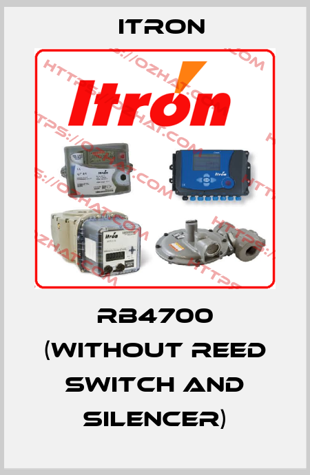 RB4700 (without reed switch and silencer) Itron