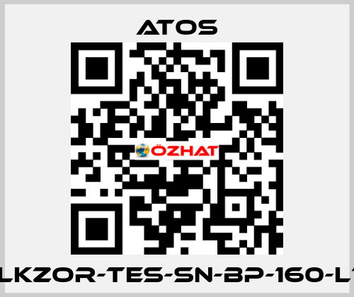 DLKZOR-TES-SN-BP-160-L71 Atos