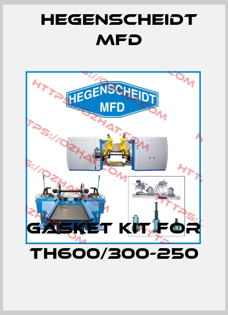 Gasket kit for TH600/300-250 Hegenscheidt MFD