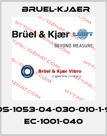 DS-1053-04-030-010-1-9 EC-1001-040 Bruel-Kjaer