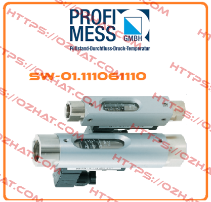 SW-01.111061110 Profimess