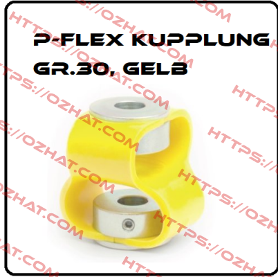 P-Flex Kupplung Gr. 30 (1260000690) Paguflex