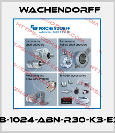 100H-38-1024-ABN-R30-K3-E34-070 Wachendorff