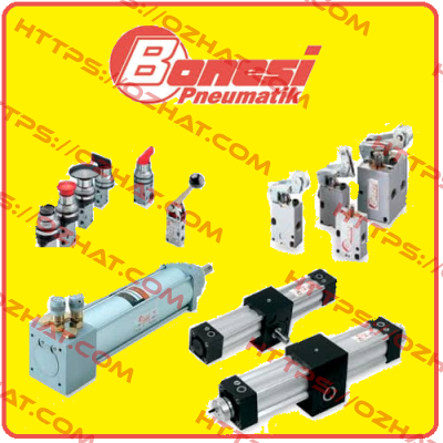 S13A/8SA obsolete / alternative standard version S13A8 Bonesi Pneumatic