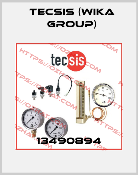 13490894 Tecsis (WIKA Group)